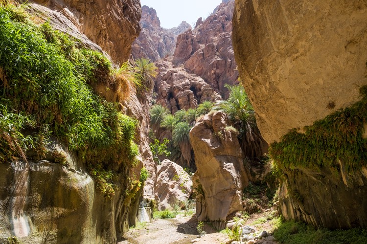 Wadi Ghuweir kloof - Dana - Jordanië